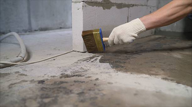 Top rated local Waterproofing specialists in Roanoke, VA